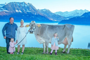 Sereina V Cows Von Ah Fredy